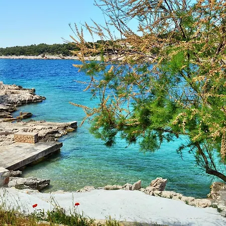 Apartments By The Sea Bilo, Primosten - 4191